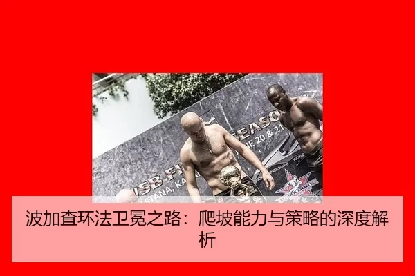 bo-jia-cha-huan-fa-wei-mian-zhi-lu-pa-po-neng-li-yu-ce-lve-de-shen-du-jie-xi-2-948.jpg
