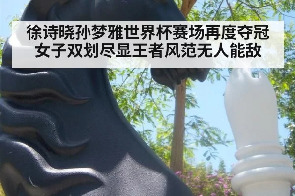 徐诗晓孙梦雅世界杯赛场再度夺冠女子双划尽显王者风范无人能敌